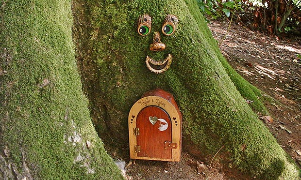 Fairy door Wayford Woods.jpg